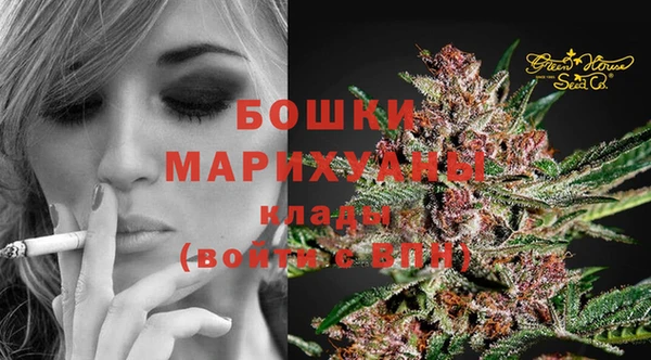 мяу мяу мука Дмитриев