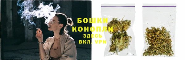 МДМА Ельня