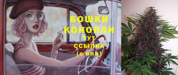 МДМА Ельня